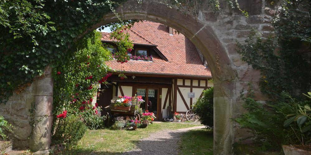 Domaine Du Neufeld Hotel Oberhaslach Buitenkant foto